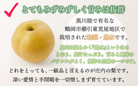 【令和8年産先行予約】 東荒屋産　豊水　(和梨)　5kg　山形県鶴岡市　鶴岡中央青果　| 梨 ナシ 果物 くだもの フルーツ 旬 期間限定 5キロ 甘い みずみずしい おすすめ 人気 お取り寄せ 返礼品
