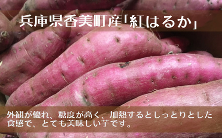 【先行予約】紅はるか《さつまいも 4kg》【令和8年11月以降発送予定】農薬不使用 サツマイモ 41-14