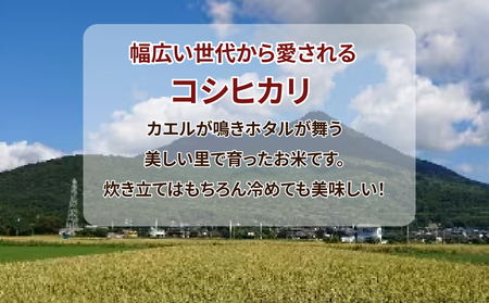 令和7年産 筑波山麓ホタルの里 厳選米 コシヒカリ5kg ※離島への配送不可 ※2025年10月下旬～2026年7月下旬頃に順次発送予定