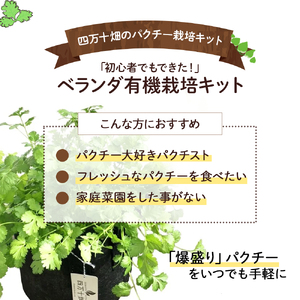初心者も安心のお野菜栽培キット(パクチーの種付き)四万十の豊かな土壌を再現！！／Fis-B01 趣味 ガーデニング 家庭菜園 園芸 ベランダ菜園 プランター 種 パクチー パクチー種 培養土