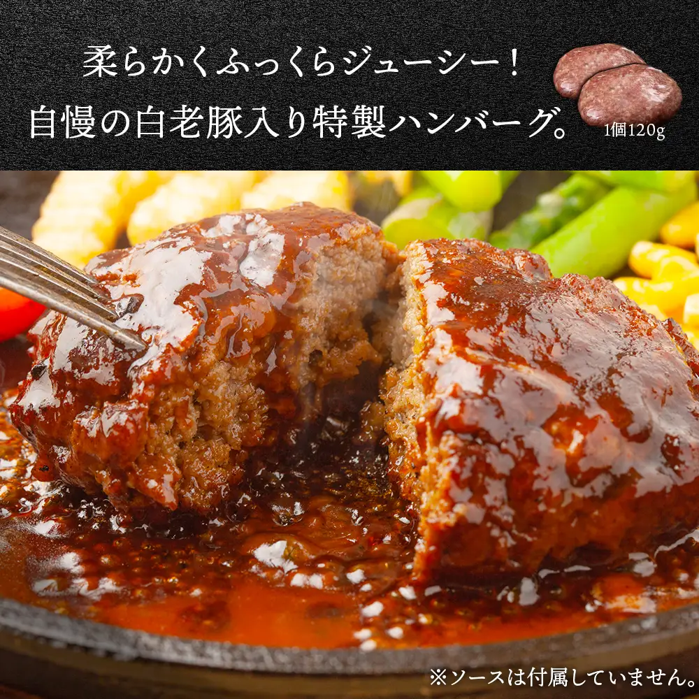 【定期便 3カ月】 北海道産 白老豚 ハンバーグ 120ｇ×15個 セット BV034