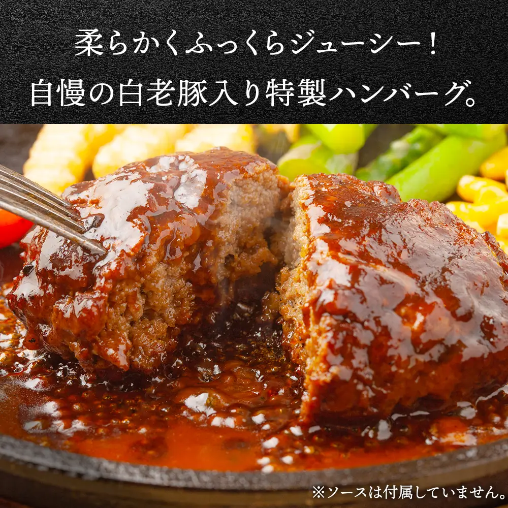 【定期便 6カ月】 北海道産 白老豚 ハンバーグ 120ｇ×20個 セット BV038