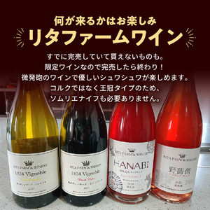 ソーセージ×リタファームワイン ペアリングセット_Y081-0009