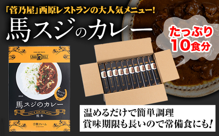 たっぷり！馬スジカレー 10食セット《60日以内に出荷予定(土日祝除く)》馬スジ カレー お肉 馬すじ カレーライス 馬肉 贈答 ギフト グルメ お取り寄せ 熊本県 南阿蘇村 送料無料 個包装 大人気 簡単調理 千興ファーム