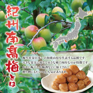 紀州南高梅 つぶれ梅 かつお【ハチミツ入】塩分10%（500g）なかやまさんちの梅干 梅干し 梅干 梅 うめ ウメ【nky017-205k】