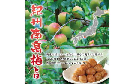 紀州南高梅　うす塩【ハチミツ無】 塩分10%（750g）なかやまさんちの梅干 うめ ウメ 梅干し【nky002-175k】