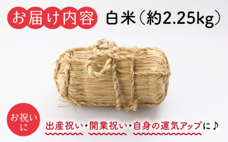 【☆贈答にも☆】【めでたい一生繁盛！】 白米 （ 米 俵） 一升半 ＜白石農園＞ [CBI006] 白米