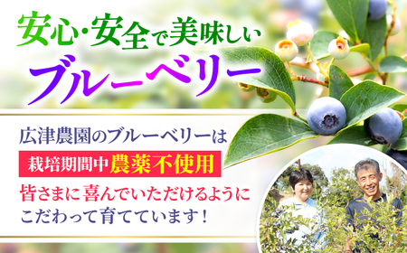 【2026年6月中旬より発送】完熟 ブルーベリー 計2kg  [CBN009] ブルーベリー 新鮮 産地直送