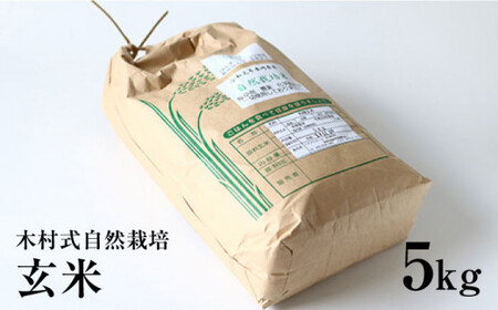 【2026年10月より発送】ヒノヒカリ 玄米 5kg ＜ハマソウファーム＞CBR006 玄米
