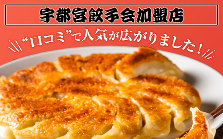 8-3 玉ちゃん餃子8人前（24個×2袋) ぎょうざ ギョーザ おつまみ おかず 惣菜 ※着日指定不可