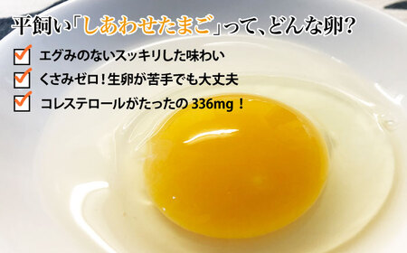 【12回定期便】 平飼い しあわせ たまご 40個＜松本養鶏場＞ [CCD030]