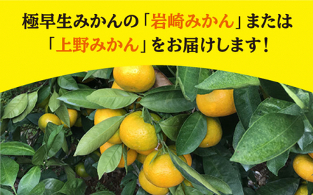  極早生 みかん 約5kg  [CCZ002] みかん