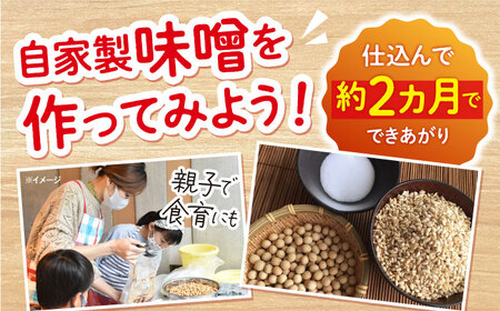 手作りキット 合わせ味噌 CDN010 味噌 自由研究 