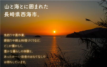 【一生の思い出に】 民泊体験 一泊二食ペア宿泊券＜山と海の郷さいかい＞ [CDO001] 民泊