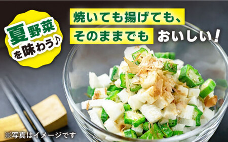 先行予約 オクラ 1kg ＜パッパラパー農園＞ [CFI001] 産地直送 オクラ 新鮮 野菜