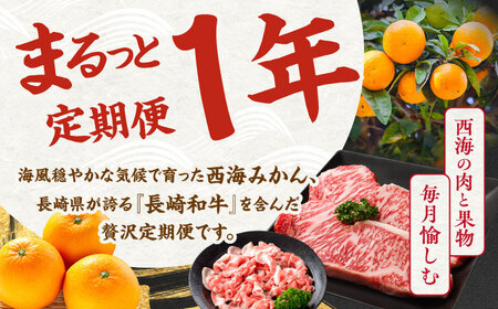12回定期便 西海の宝物定期便 | CZZ019 定期便