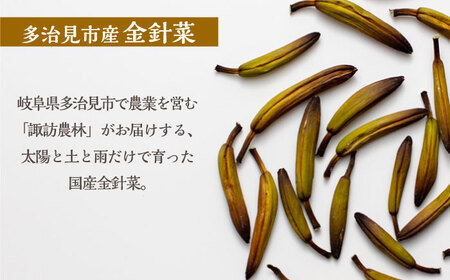 乾燥 金針菜 100g 多治見市産 【諏訪農林】 国産 中華 料理[TDO003]