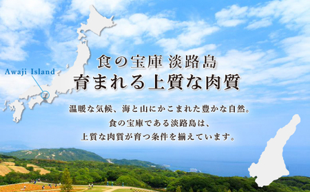 【マイ・マート】淡路牛サーロインステーキ（1枚） 約230g