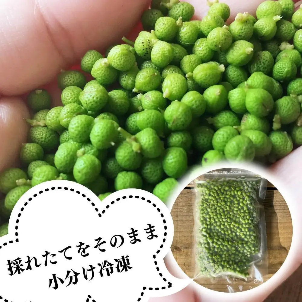 【6月下旬出荷予定】冷凍山椒 凍ってんじゃ ぶどう山椒 500g ( 100g × 5袋 ) 和歌山県産 【みかんの会】