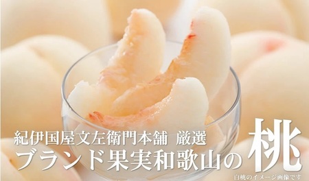  和歌山の桃 秀品 [約3.8~4kg] (サイズ・品種おまかせ) 紀伊国屋文左衛門本舗/もも 桃 フルーツ 果物 和歌山県 ※2026年6月中旬～2026年8月中旬頃に順次発送予定【kmtb800B】