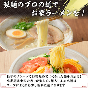 業務用麺 細ラーメン・卵入り多加水ラーメン(合計30袋・2種)ラーメン 拉麺 中華麺  冷やし中華 冷麺 つけ麺 つけめん 個食包装 個包装 小分け 冷凍 【福永食品】akn005-08