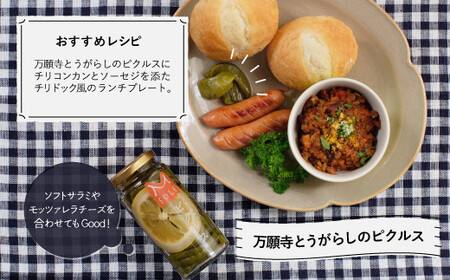 京都・福知山ピクルス (3本セット) ふるさと納税 福知山市 ピクルス 酢漬け 3本セット 野菜 規格外野菜 万願寺とうがらし うずら卵 ミニトマト 【fc-BV002】【エム・ソーレ】