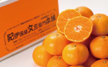  ブランド有田みかん【S】秀品10kg / 産地直送 / 薄皮で甘い美味しい和歌山県産 / 紀伊国屋文左衛門本舗　※2026年11月上旬～2027年1月中旬頃に順次発送予定（お届け日指定不可） / みかん 蜜柑 柑橘 有田みかん 果物 フルーツ 【kmtb143C】
