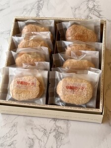 早稲田ダックワーズ（早稲田ック）10個入り 0053-003-S05