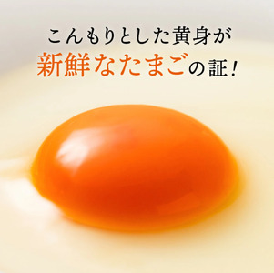 【累計600万個突破！】【TVで紹介されました】【定期便】タズミの卵Ｌサイズ（30個×12ヶ月）097AB01N.／こだわり卵 市川町産 兵庫県産 たまご たまごかけご飯 玉子 生卵 鶏卵 タマゴ 卵焼き TKG 12か月 定期便