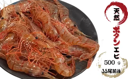 8-007-005　天然ボタンエビ 500g（35尾前後）
