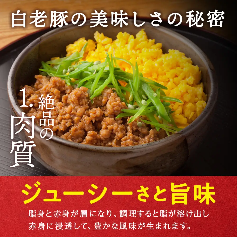 【定期便 12カ月】北海道産 白老豚 挽肉 300g×10パック BV042