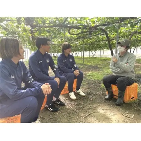 岡山県美作市産　Belleシャインマスカット 2kg(3房～5房)【配送不可地域：離島】【1430610】