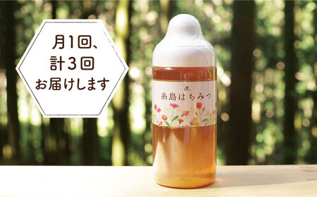 【全3回定期便】糸島 はちみつ 520g 糸島市 / ヴァンベールフーズ /百花 / 蜂蜜 [AFJ005]