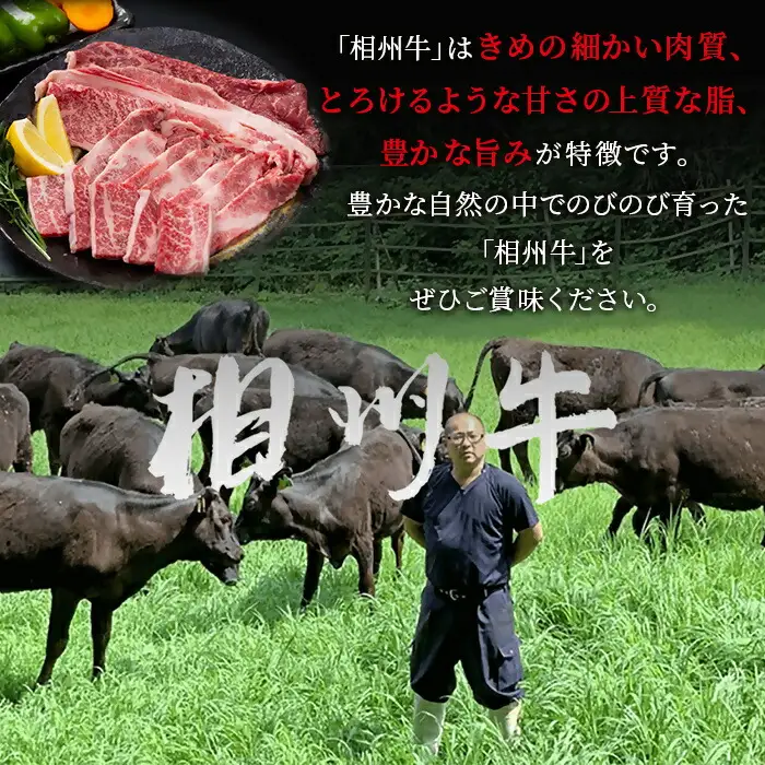 【国産希少牛】 相州牛（すき焼き用） 500g 南足柄ブランド 国産牛 肉 ふるさと納税【すき焼き 牛肉 お肉 ブランド牛 神奈川県 南足柄市 】