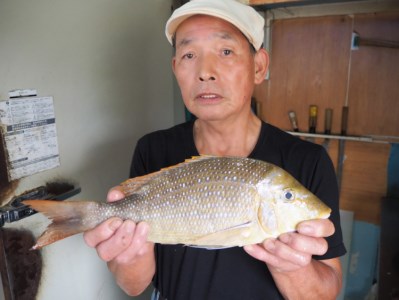 宿毛の魚ふるさと宅急便 A