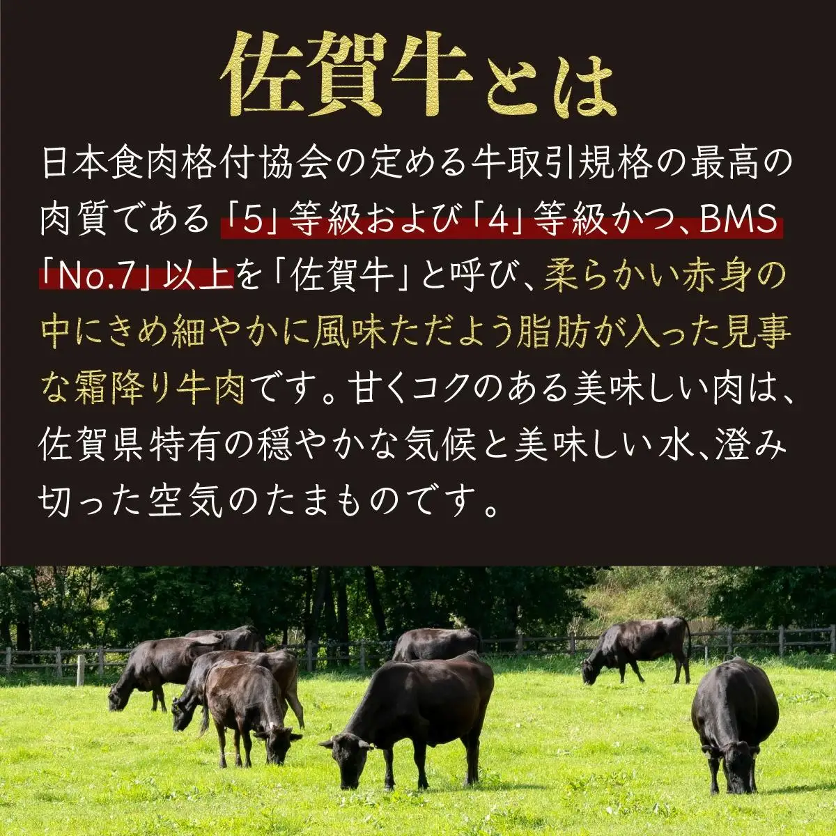 700g 佐賀牛｢切り落とし｣  D-438