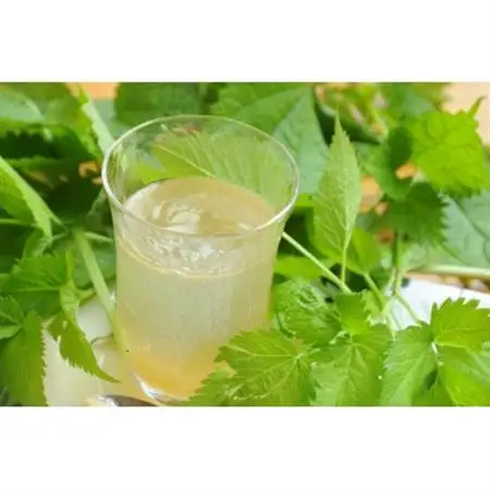 リフレッシュの森・1泊体験宿泊券(1名様)【1420006】