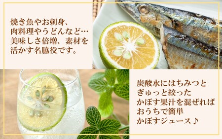 【先行予約】素材を活かす名脇役 大分県産かぼす1.8kg_2254R