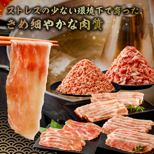 房総ブランド豚（里見和豚）４kg以上　小分け５種　計37パック　 mi0017-0004