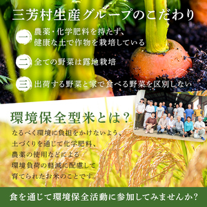 【2023年産】環境保全型ひとめぼれ 白米 4.5kg mi0036-0014