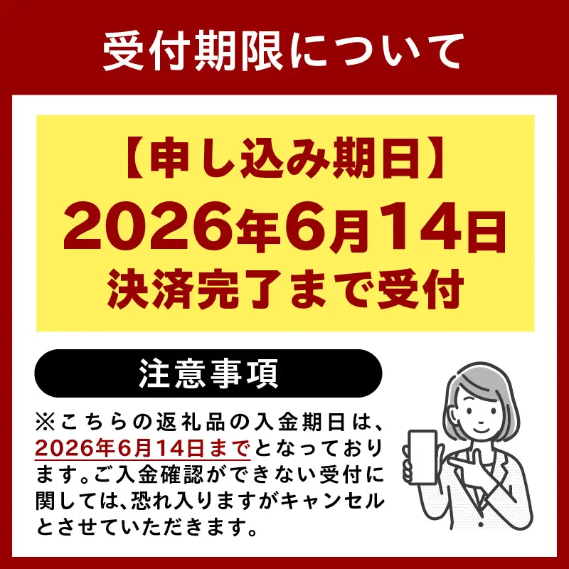 【6月14日決済完了まで受け付け】〈訳あり〉房州びわ(露地栽培) 2kg　詰め合わせ mi0038-0001 枇杷