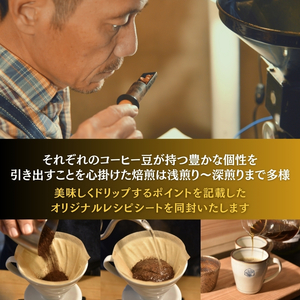 【定期便】スペシャルティコーヒー豆 焙煎士セレクト 250g×2種【豆】 3ヶ月 mi0043-0003 珈琲 ｾｯﾄ 豆 浅煎り 深煎り