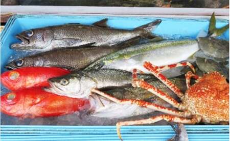 私達に任せてみませんか　南房総の旨い鮮魚直送便 mi0051-0004