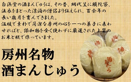房州名物　酒まんじゅう（10個入）ふるさとの味 mi0071-0001