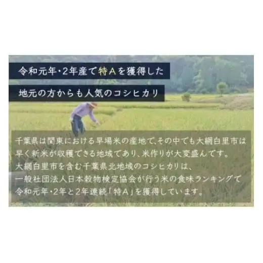 【最短2～7営業日出荷】令和7年産 千葉県産「無洗米コシヒカリ」10kg（5kg×2袋） A041