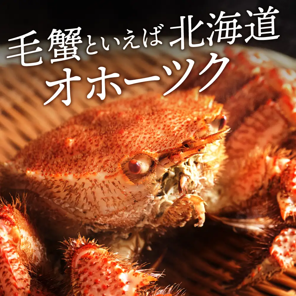 ☆北海道産 毛ガニ 約550g×2尾 セット