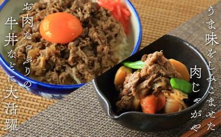 佐賀牛 切り落とし460g【旨味豊富なブランド牛！煮物から炒め物まで多種多様な料理に使える切り落とし肉】N12-17