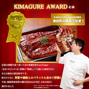 うなぎの蒲焼 約600g (3尾) 国産 a1000 うなぎ 蒲焼き