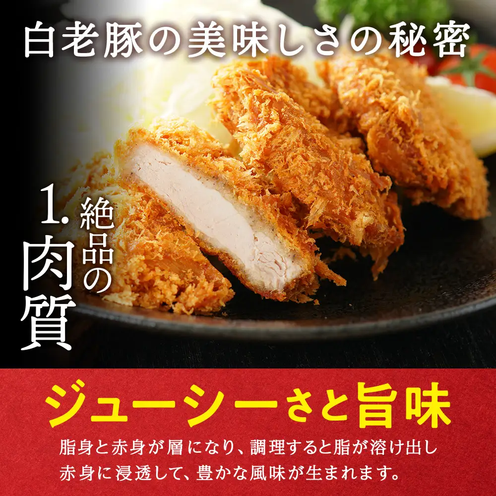 【定期便 6カ月】北海道産 白老豚 ヒレ 切り身 500g×2パック BV044
