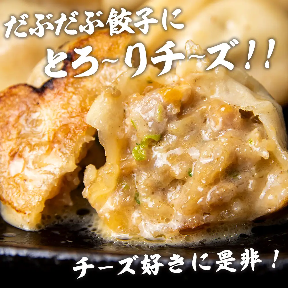だぶだぶな肉汁をすすりたくなる餃子ちぃーず60個入（20個入×3パック） BE010